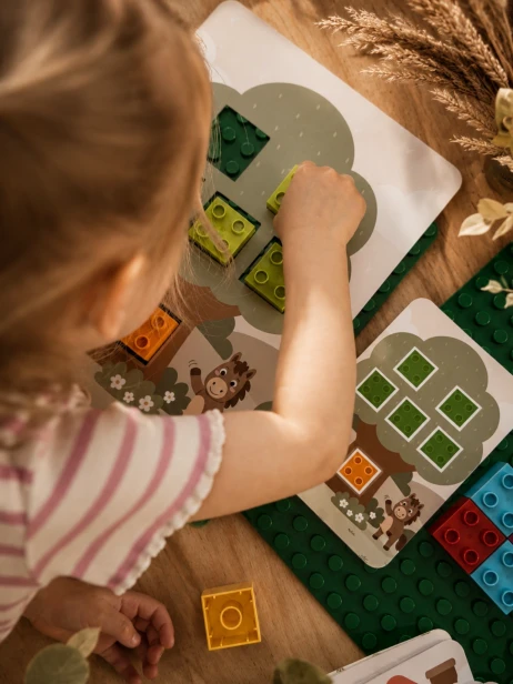zdjęcie 1 (duplo).png